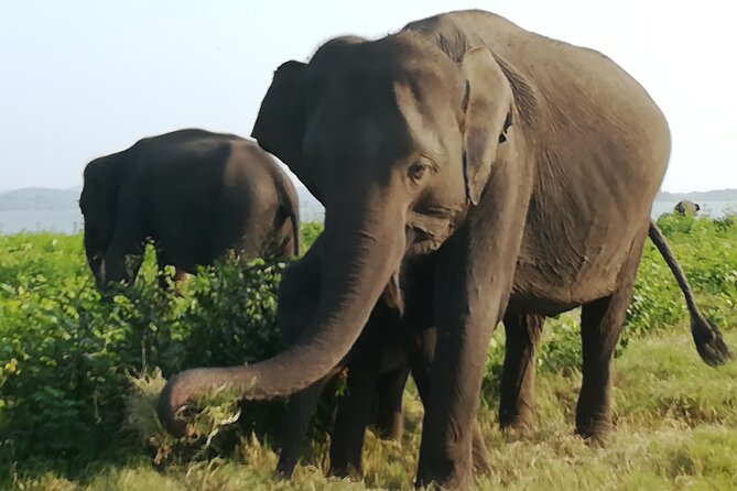 Colombo City Tour & Galle Fort One Day Excursion With Tharindu