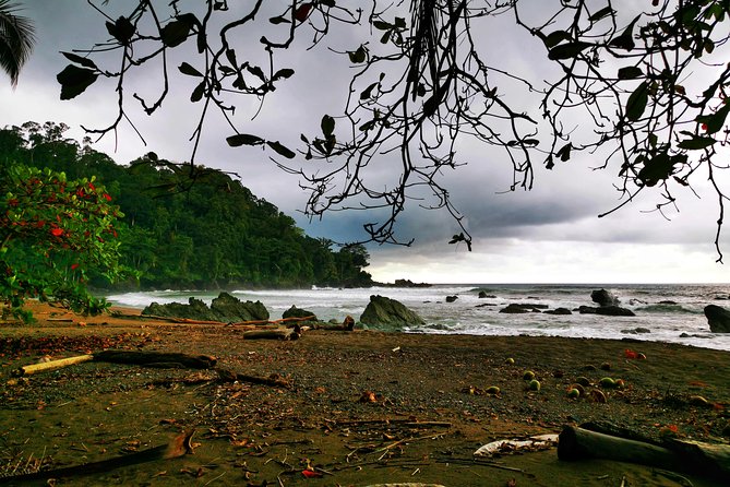 Combo 3: Manuel Antonio Park Tour & Chocolate Tour - Tour Overview