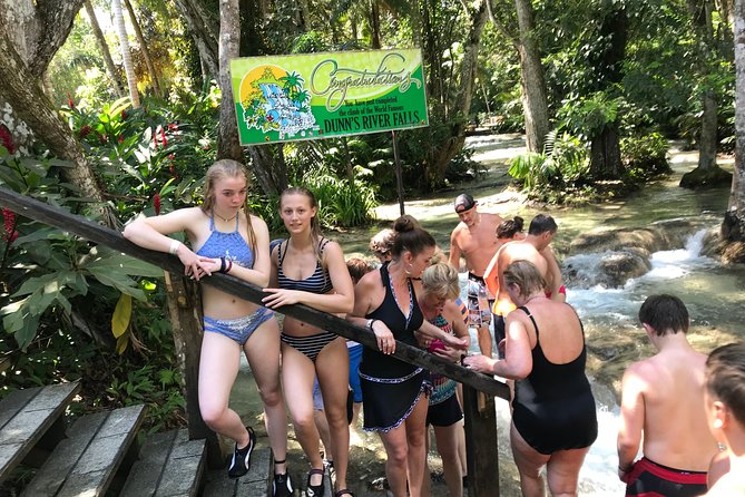 Combo Tour Dunns River Falls and Bluetour From Falmouth