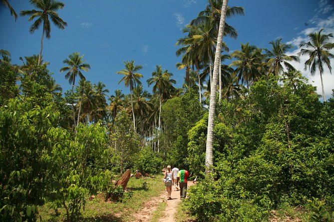 Come and Taste the Zanzibar Feelings