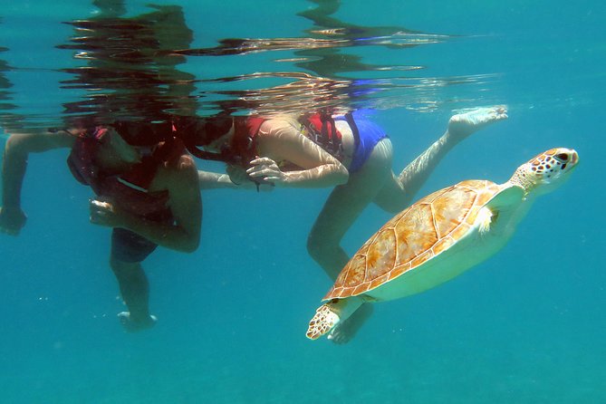 5 Best Canoe And Kayak Experiences In St Thomas