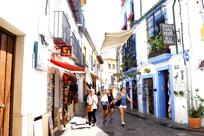 Cordoba and Its Mosque From Granada With Private Transfer - Tour Overview