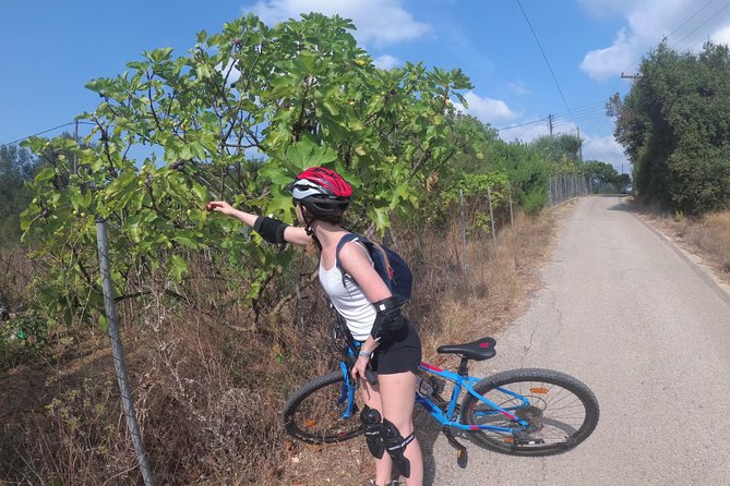 Corfu Private Biking Tour - What to Expect on the Ride