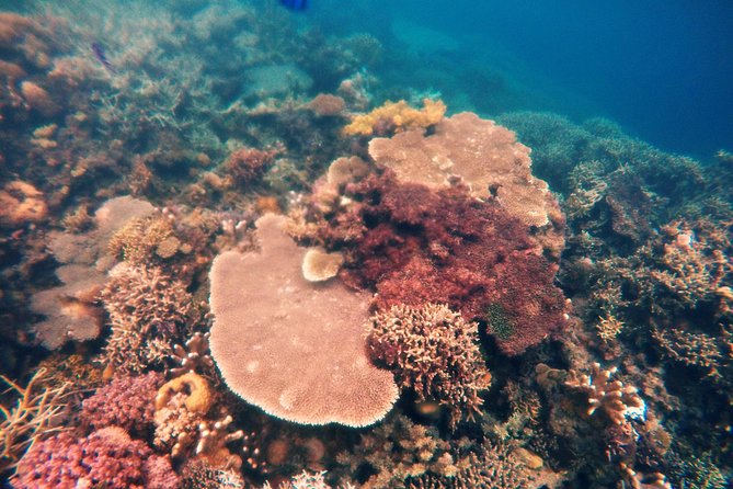 Coron Island Tour B (Shared Tour)