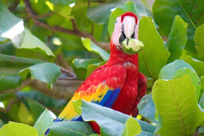 Costa Rica 5 Days With Accommodation, Tours and Some Meals - Explore San Jose, Costa Rica