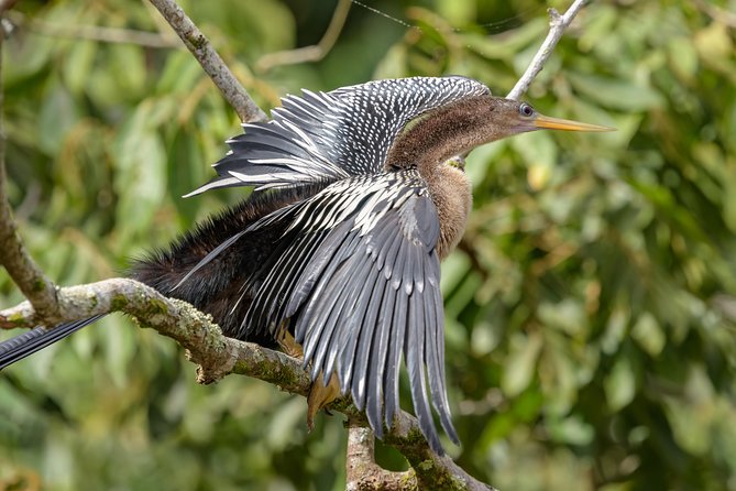 4 Best National Park Tours In Playa Hermosa