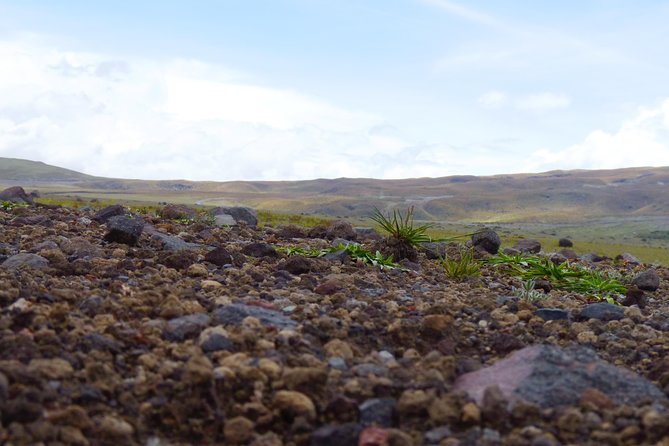 2 Best Full-Day Tours In Ecuador