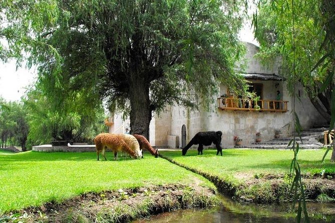 Countryside Tour Arequipa