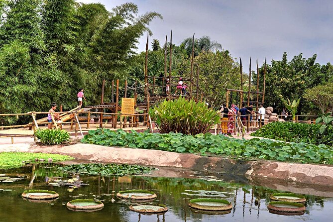 Crocoparc Tour From Agadir & Taghazout + Tickets - Tour Overview