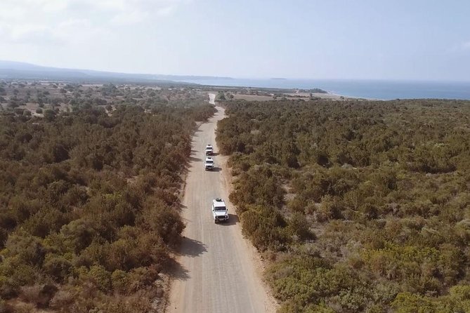 Cruise and 4X4 Safari Tour at Akamas Peninsula From Paphos - Tour Overview and Highlights
