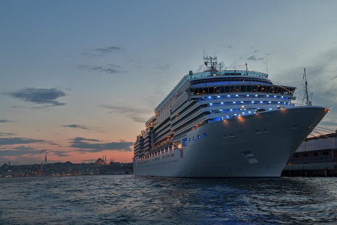 Cruise Shore Excursion - Best of Istanbul - Tour Overview