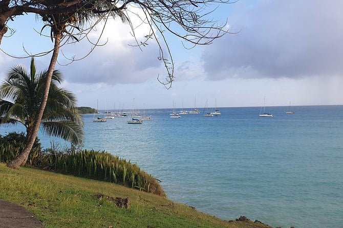 Cruise Stopover* - Tropical Forest - Sainte-Anne Beach