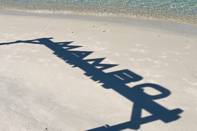 Cruiseport/Beach Transfer: Fun Way to Spend a Day in Curacao