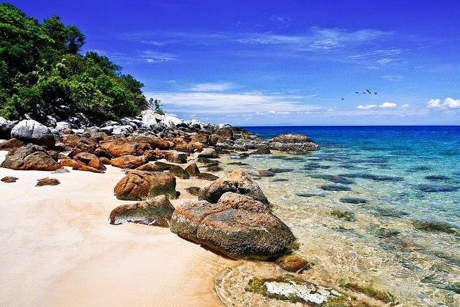 Cu Lao Cham Island Tour From Da Nang - Tour Overview