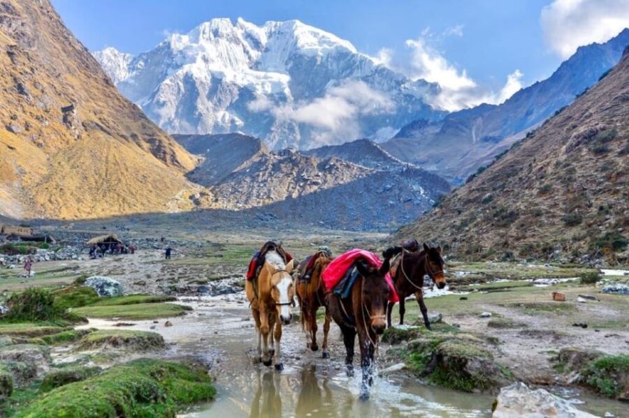 Cusco: 5 Day Trek From Salkantay to Machu Picchu
