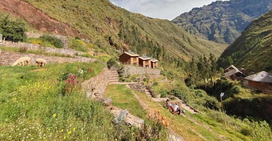 Cusco: 7-Day Ayahuasca Retreat & Machu Picchu Visit