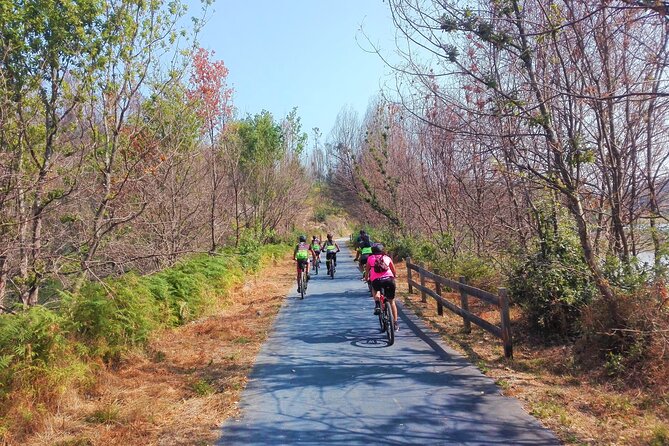 2 Best Bike Tours In Coimbra