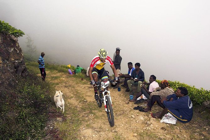 Cycling in Devils Staircase