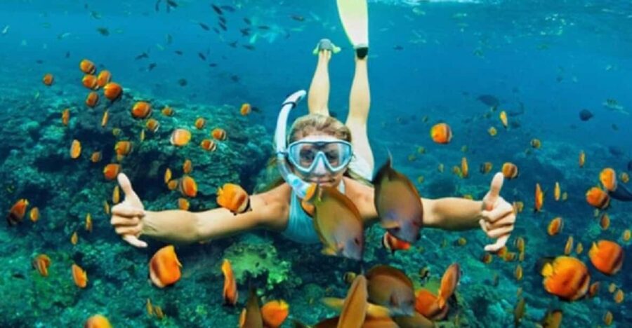 Da Nang/Hoi An: Cham Islands Snorkeling Trip by Speedboat
