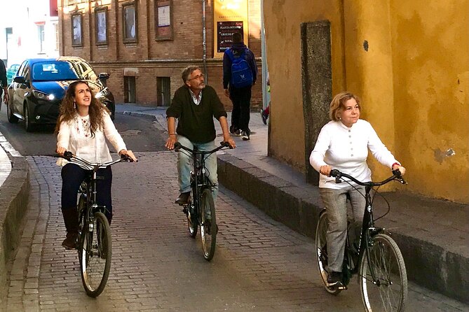 Daily Bike Tour in Seville