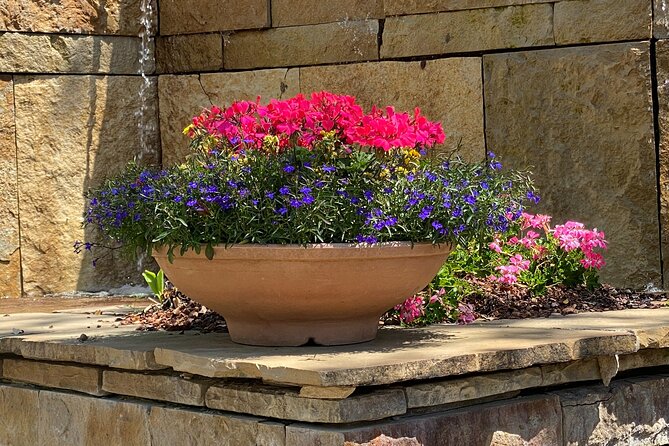 Dallas Arboretum and Botanical Gardens Tour