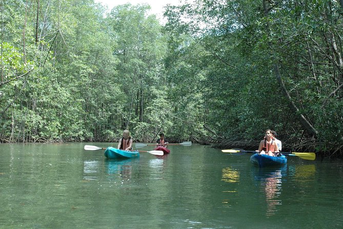 2 Best Canoe And Kayak Experiences In Jaco