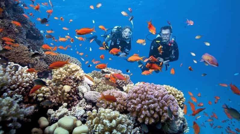 Danang/ Hoi An: the Cham Islands Snorkeling Trip