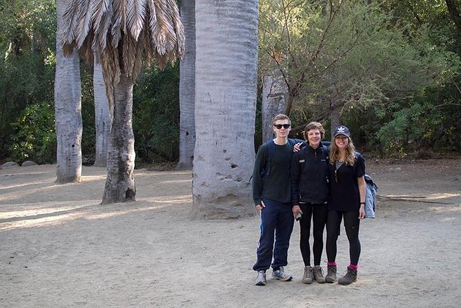 Darwins Route: Traversing the Chilean Palm Forest