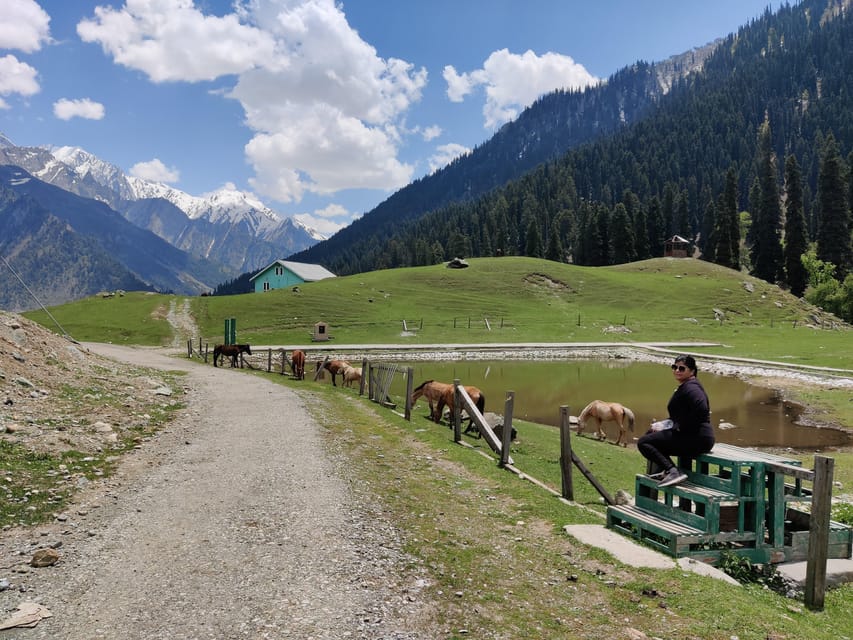 Day Excursion To Sonamarg