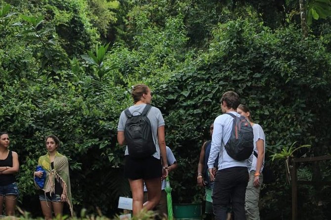 Day Pass - Ecological Park Arenal Volcano + Hot Springs - Exploring the Ecological Park