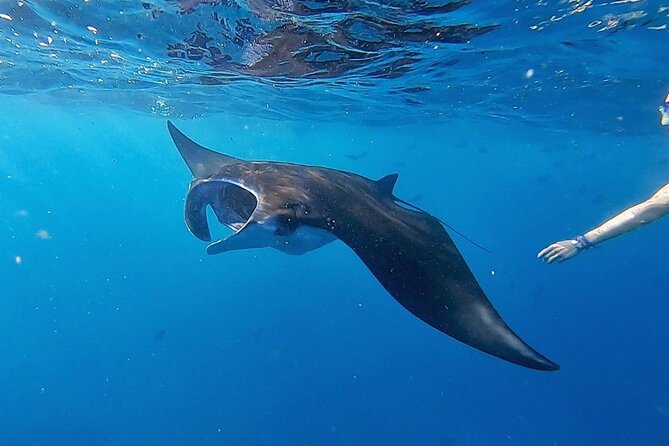 Day Tour and Snorkeling to Lembongan From Bali