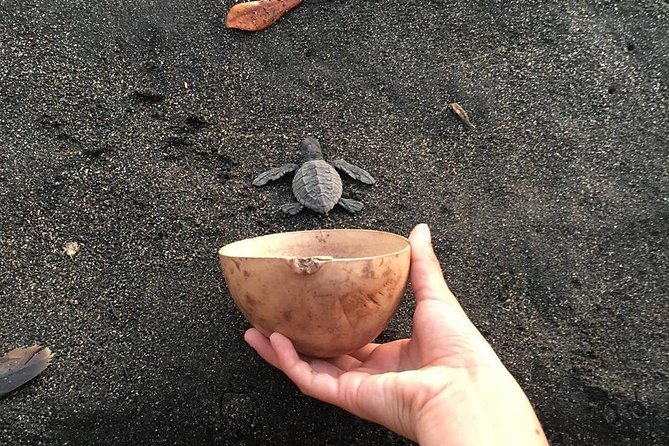 Day Tour Between Mangroves, Fishing & Black Sand Beach Activities + Lunch
