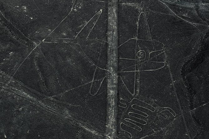 Day Tour Nazca Lines From Lima