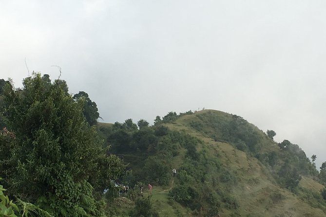 Day Tour to Dhampus With 4WD