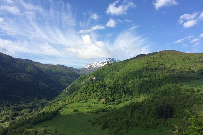 Day Tour to Mirepoix, Montségur, Camon. Private Tour From Carcassonne - Tour Overview