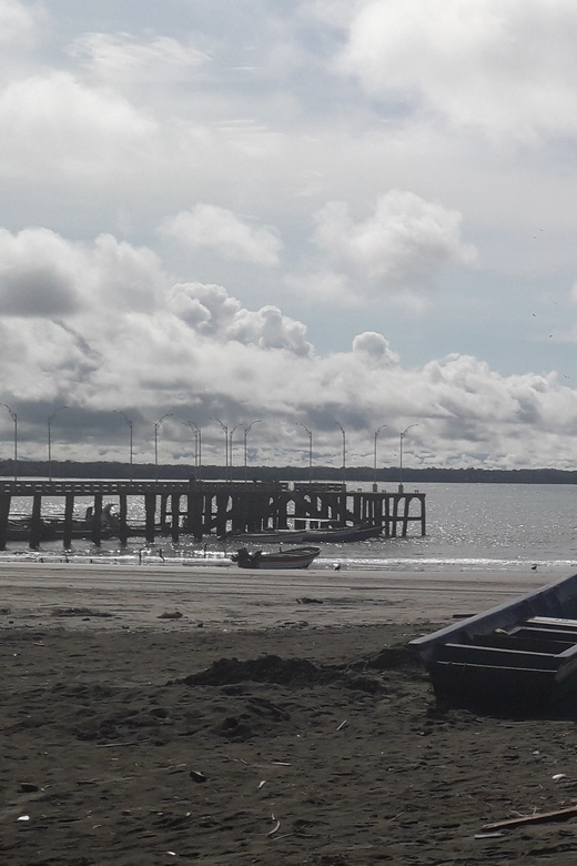 Day Tour Whale Watching From Cali – Sundays –