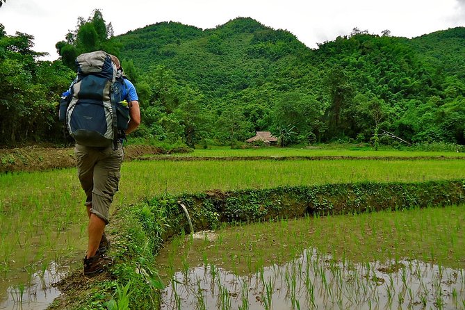 Day Trek to Kuangsi Waterfall and Bear Sanctuary - Luang Prabang Full Day Tour