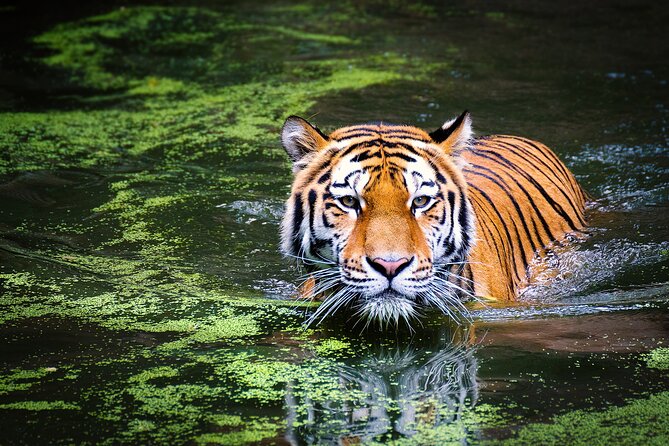 2 Best National Park Tours In Goa