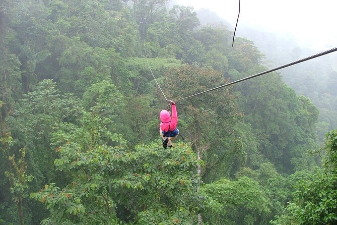 Day Trip From San Jose to Braulio Carrillo Canopy Tour - Overview of the Tour