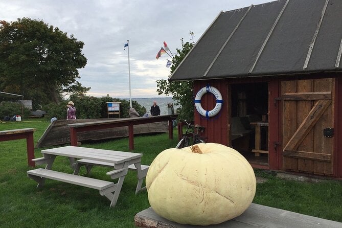Day Trip to Land of Bays, the Romantic North-Coast From Tallinn - Tour Highlights