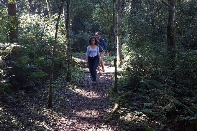 Day Trip to Mocona Falls and Salto Encantado Provincial Park - Exploring Salto Encantado Provincial Park
