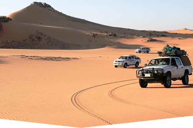 Day Trip to Valley of Whales From Cairo - Wadi El Hitan