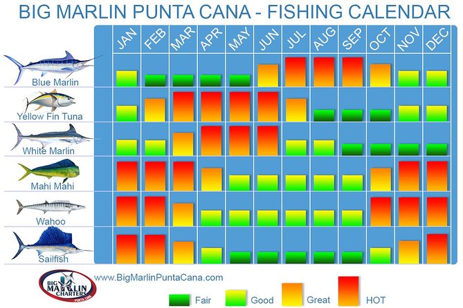 2 Best Fishing Tours In Dominican Republic