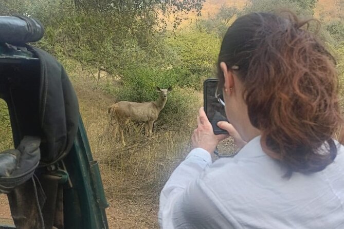 Delhi to Sariska National Park: A Thrilling Wildlife Excursion