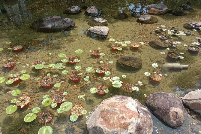Desaru Riverside Garden Walk