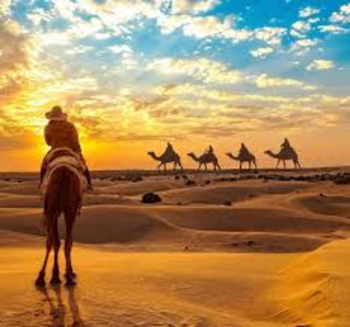 DESERT CAMEL SAFARI