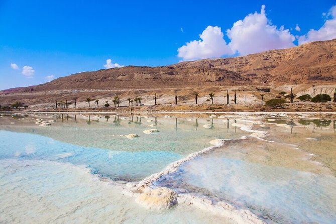 Desert Safari and Dead Sea Day Trip From Tel Aviv - Tour Overview