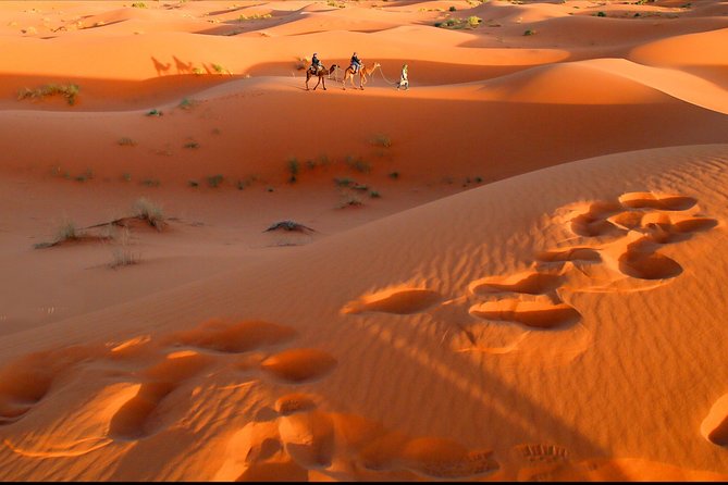 Desert Tour Ouarzazate CHEGAGA 2 Days/ 1 Night