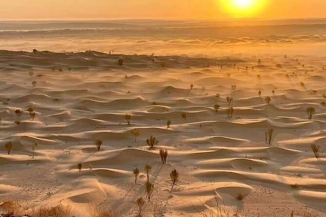 Desert Tours and Adventurous Camel Trekking Through the Sahara