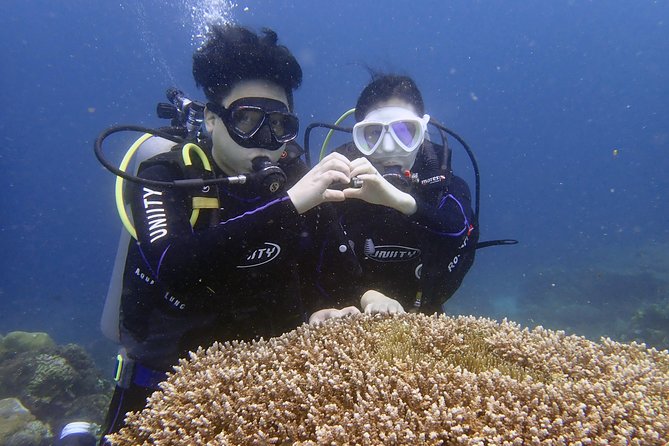 Discover Diving - Overview and Ratings